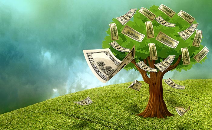 Data mining money tree